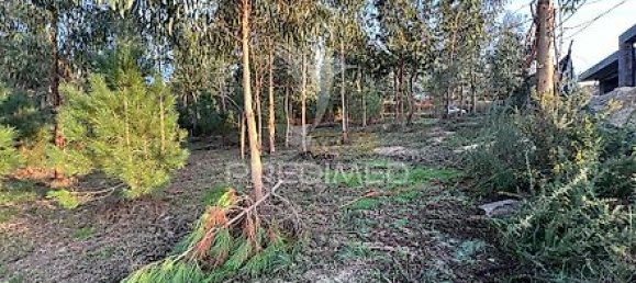  قطعة أرض في Regadas, Portugal 1134متر مربع رقم 41428 4