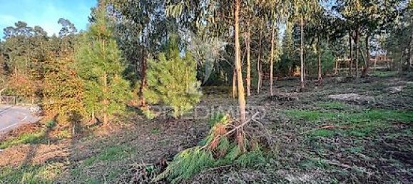  قطعة أرض في Regadas, Portugal 1134متر مربع رقم 41428 3