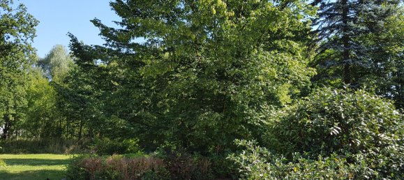 Земельный участок в Люнебург, Германия № 161864 10