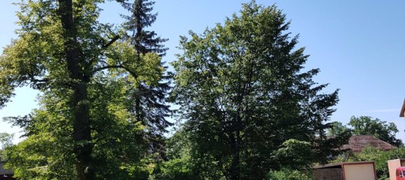 Земельный участок в Люнебург, Германия № 161864 12