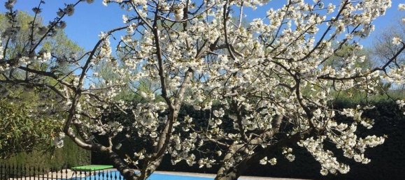 8 Schlafzimmer Haus in Guadarrama, Spain, Nr. 183945 36