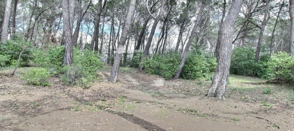 3 Schlafzimmer Haus in Fuveau, France, Nr. 291184 9