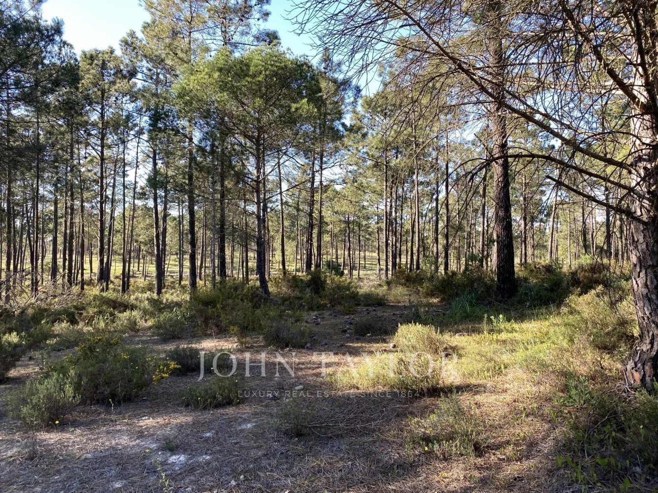 Grundstück in Alcacer do Sal, Portugal 801m², Nr. 123391