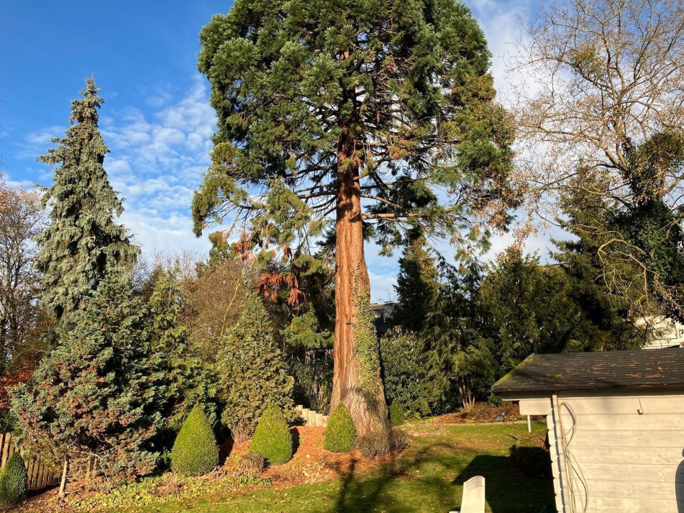 Adosado de 6 habitaciónes en Gottingen, Germany No. 267001