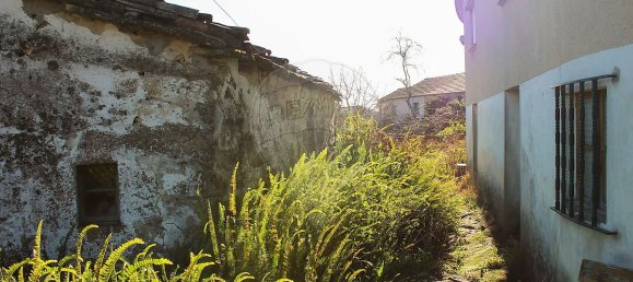 1 غرف نوم منزل في Talhadas, Portugal رقم 39209 6