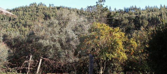 1 غرف نوم منزل في Talhadas, Portugal رقم 39209 17