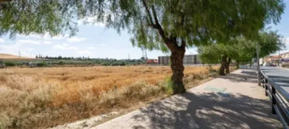  Land in Las Gabias, Spain No. 181277 6