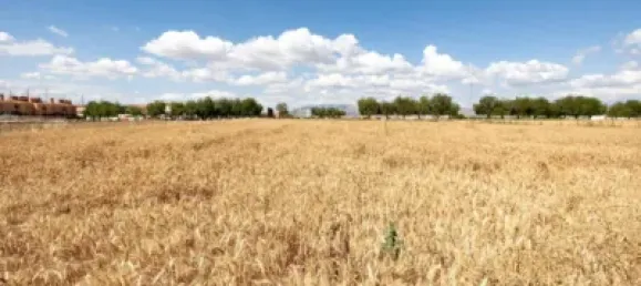  Land in Las Gabias, Spain No. 181277 18