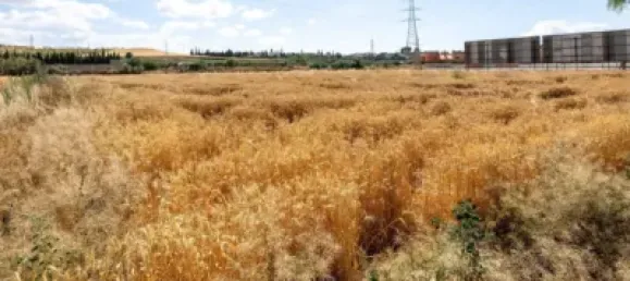  Land in Las Gabias, Spain No. 181277 7