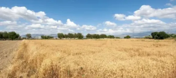  Land in Las Gabias, Spain No. 181277 17