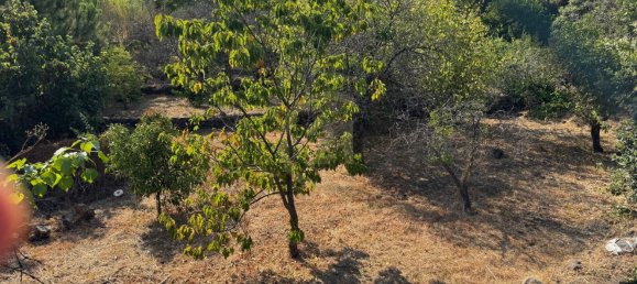 Grundstück in Aci Sant'Antonio, Italy, Nr. 315456 7