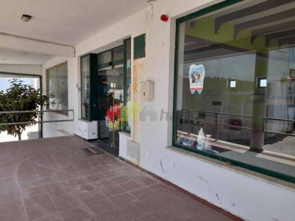 Laden in Palmela, Portugal 290m², Nr. 8262