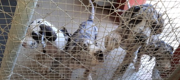  قطعة أرض في Mijas, Spain رقم 147139 25