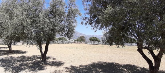  قطعة أرض في Mijas, Spain رقم 147139 15