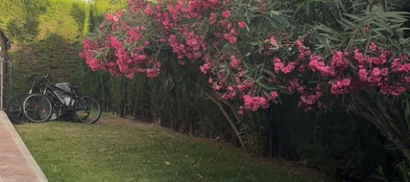 4 bedrooms Villa in Marbella, Spain No. 146018 13