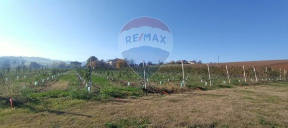 65000m² Land in Valsamoggia, Italy No. 108465 5