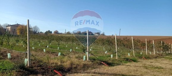 65000m² Land in Valsamoggia, Italy No. 108465 4
