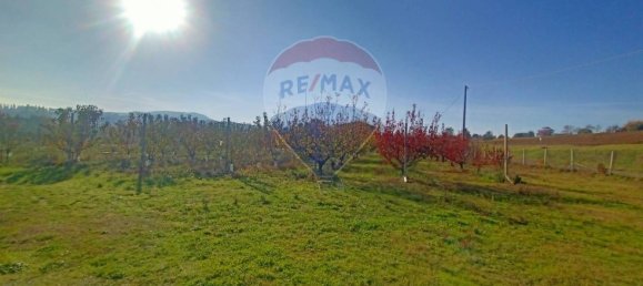 65000m² Land in Valsamoggia, Italy No. 108465 6