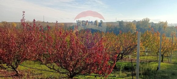 65000m² Land in Valsamoggia, Italy No. 108465 8