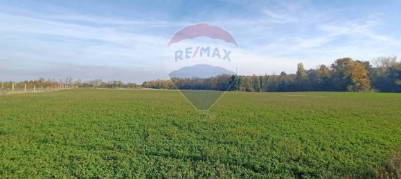 65000m² Land in Valsamoggia, Italy No. 108465 7