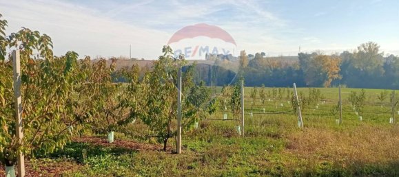65000m² Land in Valsamoggia, Italy No. 108465 9