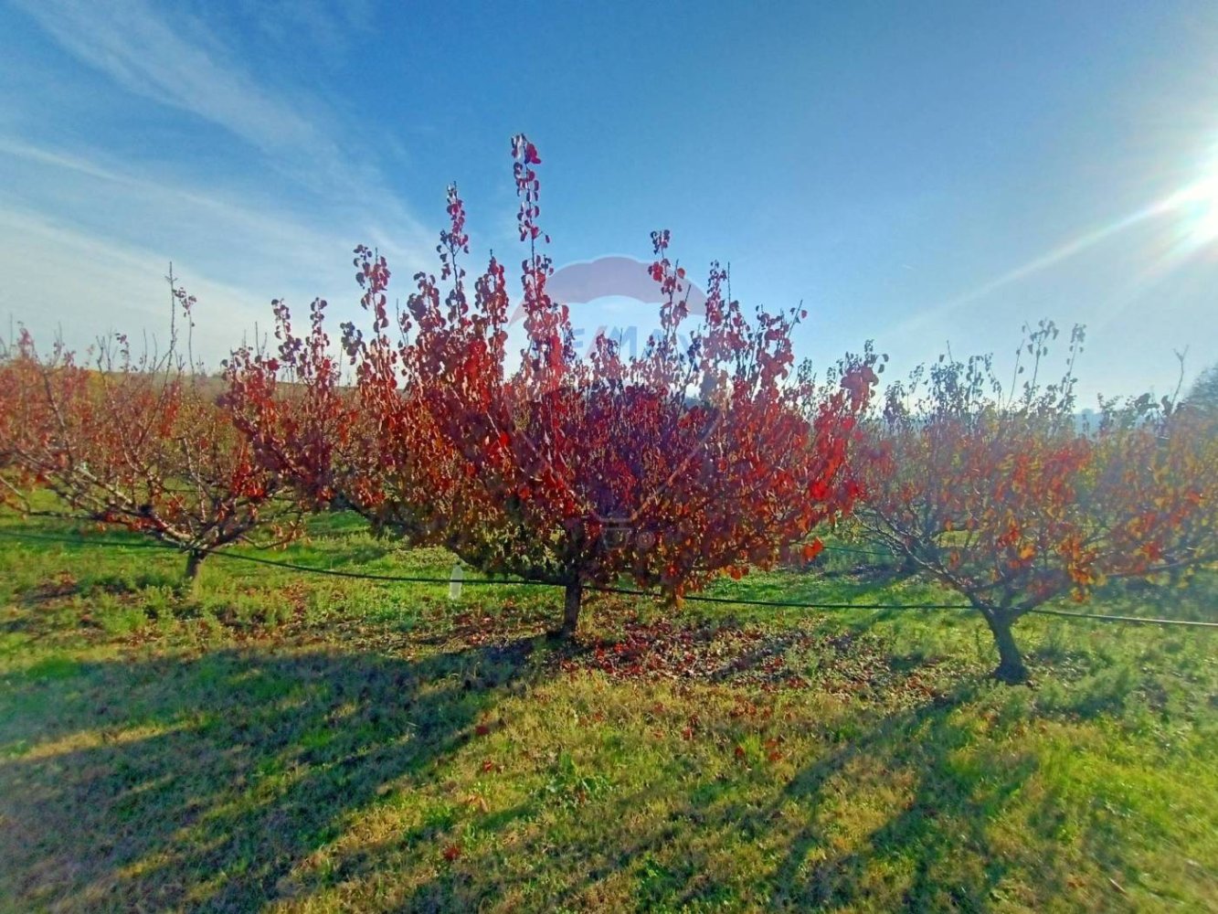 65000m² Land in Valsamoggia, Italy No. 108465