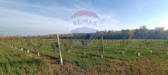 65000m² Land in Valsamoggia, Italy No. 108465 11