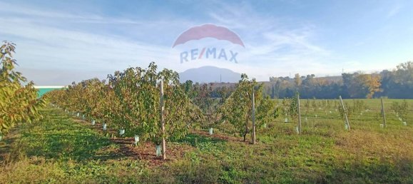 65000m² Land in Valsamoggia, Italy No. 108465 10
