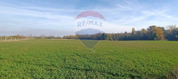 65000m² Land in Valsamoggia, Italy No. 108465 12