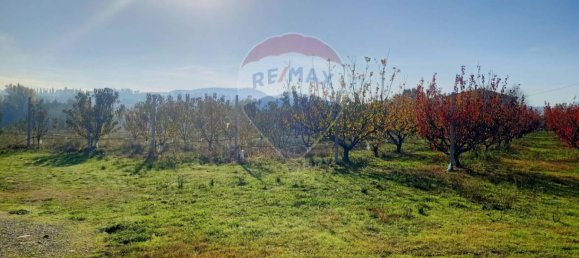 65000m² Land in Valsamoggia, Italy No. 108465 3