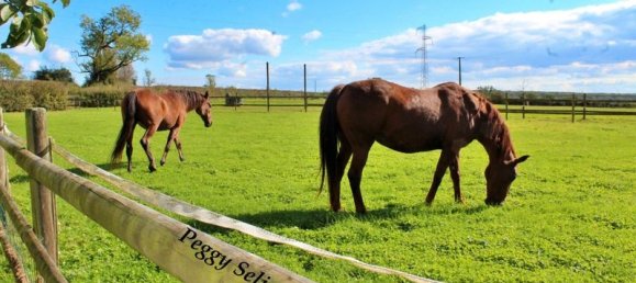 4 chambres Maison à Rainsars, France No. 229330 16