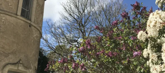 24 Schlafzimmer Schlösser in Blet, France, Nr. 316976 18