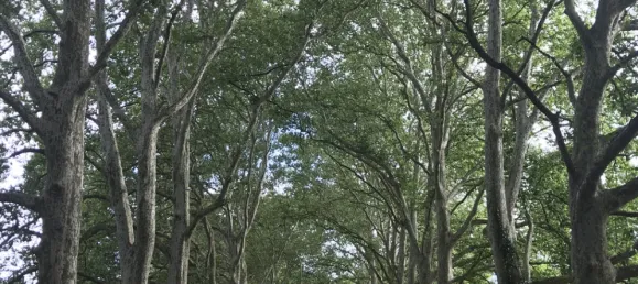 24 Schlafzimmer Schlösser in Blet, France, Nr. 316976 16