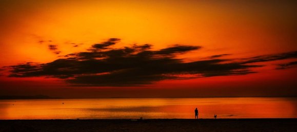 2 bedrooms Penthouse in Denia, Spain No. 167987 27