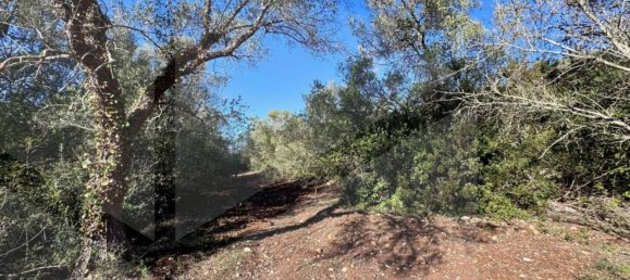 4-Zimmer Haus in Ostuni, Italy, Nr. 22105 7