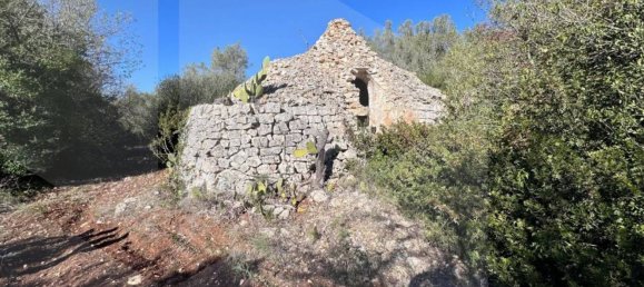 4-Zimmer Haus in Ostuni, Italy, Nr. 22105 4