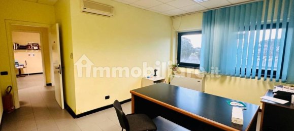 3 rooms Office in Capannori, Italy No. 272650 5