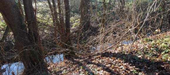 14 rooms Townhouse in Frankfurt am Main, Germany No. 291827 18