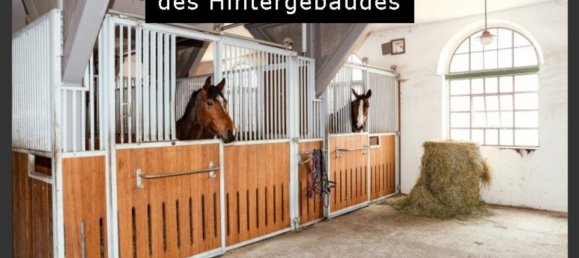 14 rooms Townhouse in Frankfurt am Main, Germany No. 291827 17