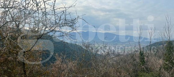 Grundstück in Spoleto, Italy 7000m², Nr. 113888 16