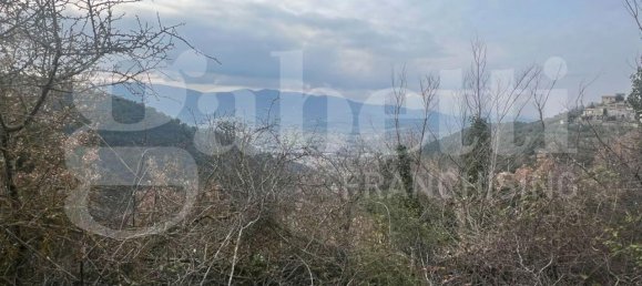 Grundstück in Spoleto, Italy 7000m², Nr. 113888 19