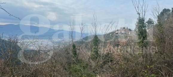 Grundstück in Spoleto, Italy 7000m², Nr. 113888 17