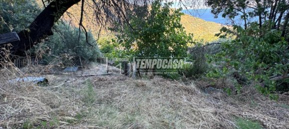 3 rooms Apartment in Itala, Italy No. 275062 3