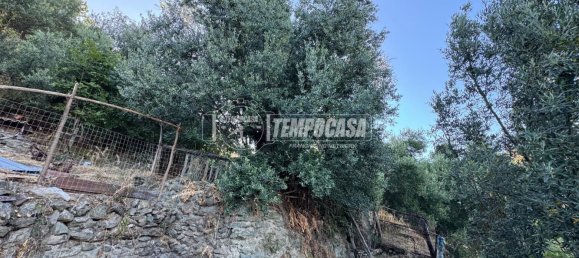 3 rooms Apartment in Itala, Italy No. 275062 4