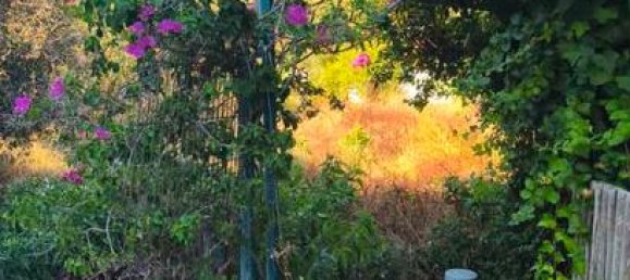 4 غرف نوم شقة في Es Mercadal, Spain رقم 160508 10