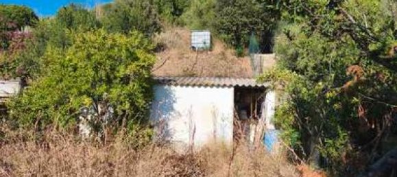 4 غرف نوم شقة في Es Mercadal, Spain رقم 160508 15