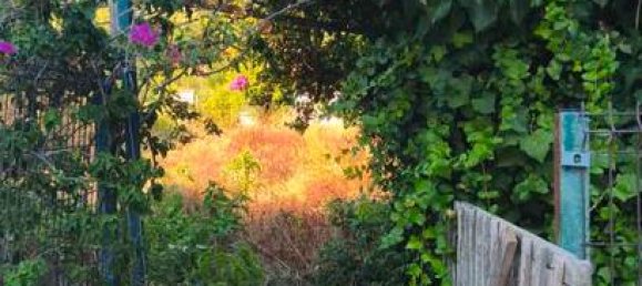 4 غرف نوم شقة في Es Mercadal, Spain رقم 160508 11