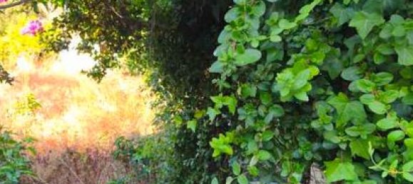 4 غرف نوم شقة في Es Mercadal, Spain رقم 160508 8