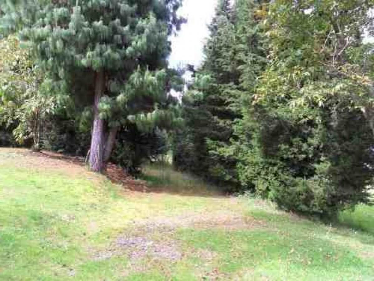 Estudio en Cundinamarca, Colombia No. 8915