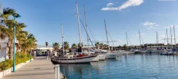 Apartamento de 3 dormitorios en Torrevieja, Spain No. 100203 32